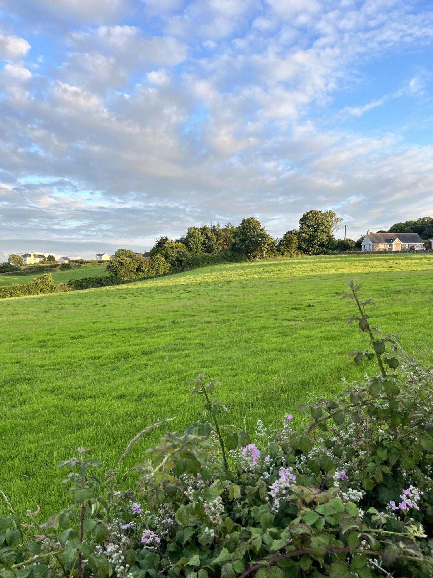 Ty Dderw Country Inn Moelfre Eksteriør billede